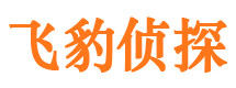 鲁甸市私家侦探